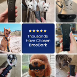 BrooBark image